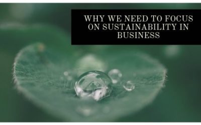 Why We Need to Focus on Sustainability in Business